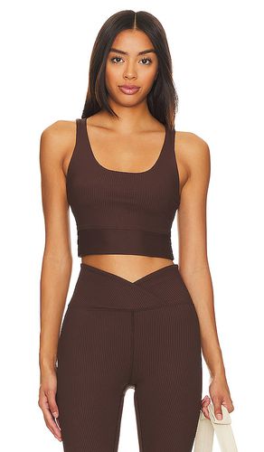 Ribbed Gym Bra in Brown. - size L (also in M, S, XS) - YEAR OF OURS - Modalova