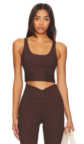 Ribbed Gym Bra in Brown. - size L (also in S, XL/1X, XS) - YEAR OF OURS - Modalova