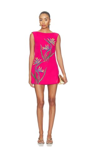 KLEID BIRD OF PARADISE in . Größe L. Also in M, XS - Yellow The Label - Modalova