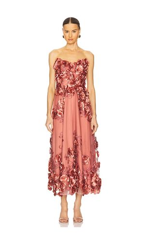 Aonia Dress in Rose. - size 0 (also in 2, 4, 6) - Zhivago - Modalova