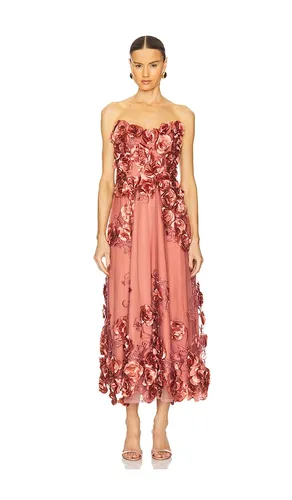 Aonia Dress in Rose. - size 2 (also in 0, 4, 6) - Zhivago - Modalova