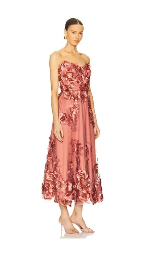 Aonia Dress in Rose. - size 2 (also in 0, 4, 6) - Zhivago - Modalova