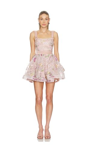KLEID THE BERTOLINI in . Größe 2. Also in 10, 12 - Zhivago - Modalova
