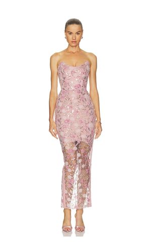 KLEID ROSES AND THEIR ASHES DRESS in . Größe 6. Also in 8, 10, 12 - Zhivago - Modalova