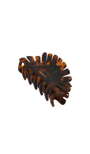 Peacock Hair Clasp in - Zimmermann - Modalova