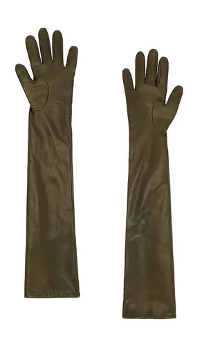 HANDSCHUHE LEATHER LONG in . Größe M/L. Also in S/M - Zimmermann - Modalova