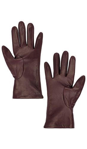 HANDSCHUHE LEATHER in . Größe M/L. Also in S/M - Zimmermann - Modalova