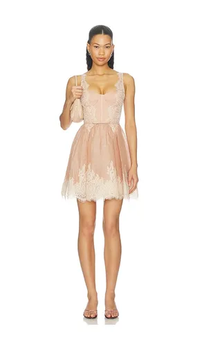 Valiant Lace Trim Mini Dress in Pink. - size 2/M (also in 3/L) - Zimmermann - Modalova