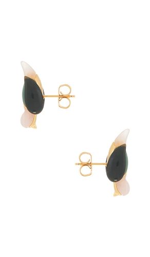 OHRRINGE PLUME STUD in - Zimmermann - Modalova