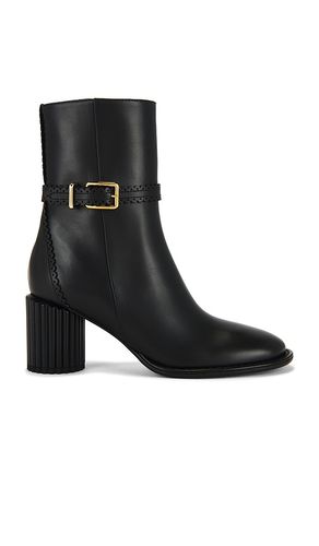 Eddie Low Boot in . - size 36 (also in 37, 38, 39, 40, 41) - Zimmermann - Modalova