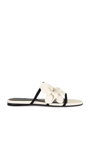 Orchid Slide in White. - size 37 (also in 39, 40) - Zimmermann - Modalova