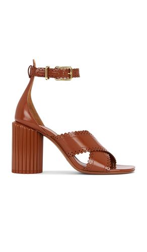 Eddie Sandal in Cognac. - size 38 (also in 39, 40, 41) - Zimmermann - Modalova