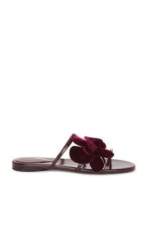 Orchid Slide in Wine. - size 36 (also in 37) - Zimmermann - Modalova