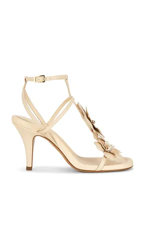 Belara Sandal 85 in . - size 37 (also in 38, 39, 40, 41) - Zimmermann - Modalova