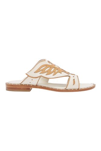 Papaya Ariel/nude/ivory Leather Sandals size 36 - ASH - Modalova