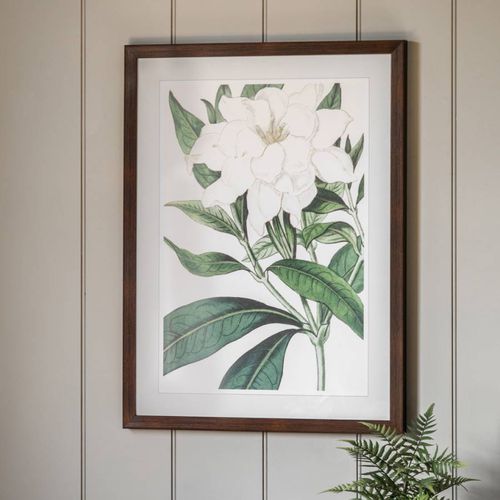 Gardenia 80x60cm Framed Print - Art Marketing by Gallery - Modalova