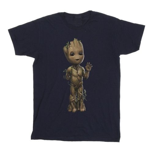 Marvel I Am Groot men's in Blue - Marvel - Modalova