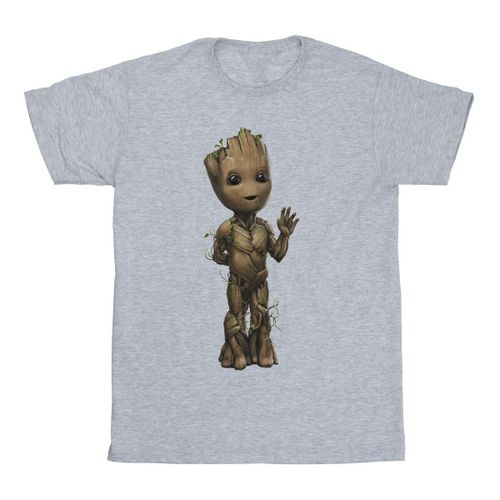 Marvel I Am Groot men's in Grey - Marvel - Modalova