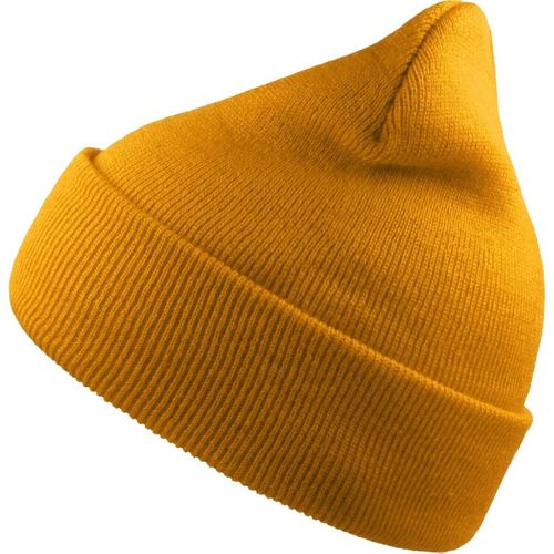 Wind women's Beanie in - Atlantis - Modalova