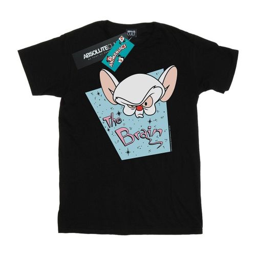 BI10811 men's in - Animaniacs - Modalova