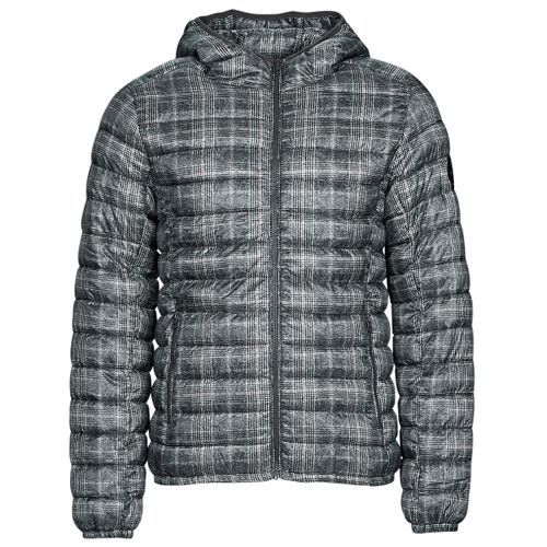 BLIGHTER men's Jacket in - Teddy smith - Modalova