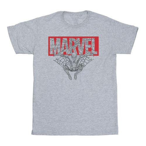Marvel BI51901 men's in Grey - Marvel - Modalova