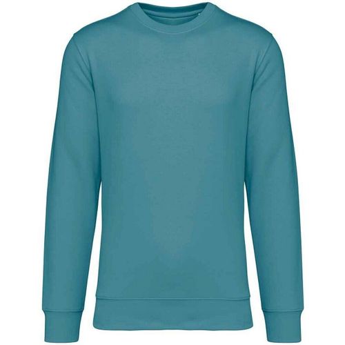 NS400 women's Sweatshirt in - Native Spirit - Modalova