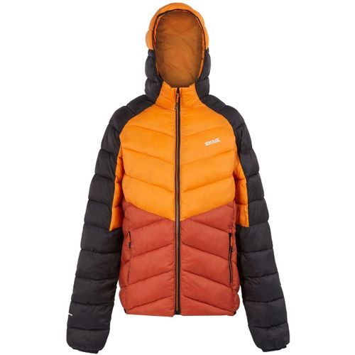 Dalent men's Jacket in - Regatta - Modalova