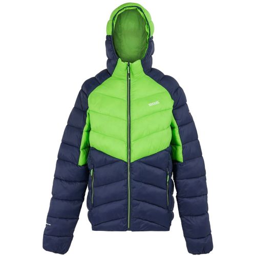 Dalent men's Jacket in - Regatta - Modalova