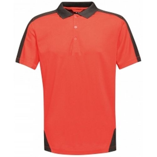 RG3573 men's in - Regatta Professional - Modalova