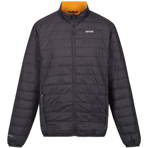 Hillpack men's Jacket in - Regatta - Modalova