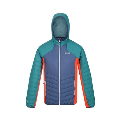 Trutton men's Jacket in - Regatta - Modalova
