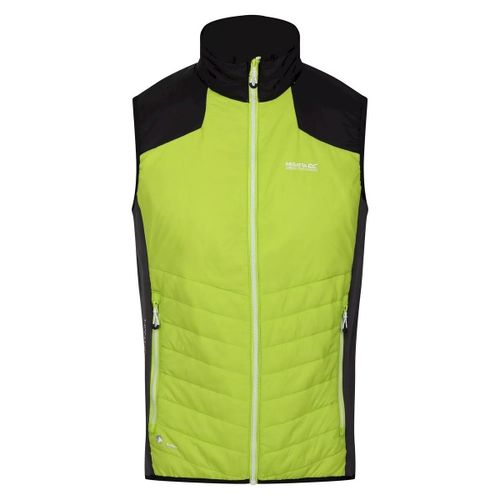Halton VI men's Jacket in - Regatta - Modalova