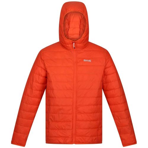Hillpack men's Jacket in - Regatta - Modalova