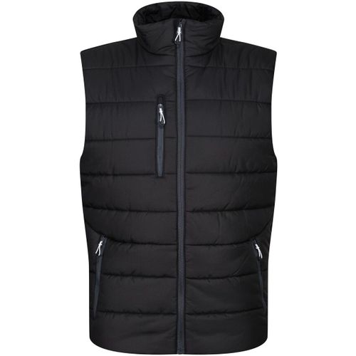 RG9318 men's Jacket in - Regatta Professional - Modalova