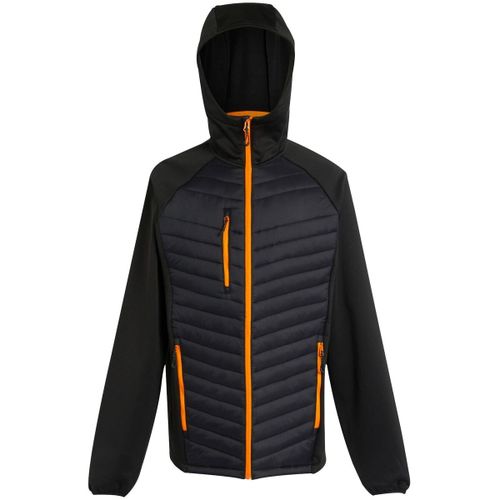 RG9341 men's Jacket in - Regatta - Modalova