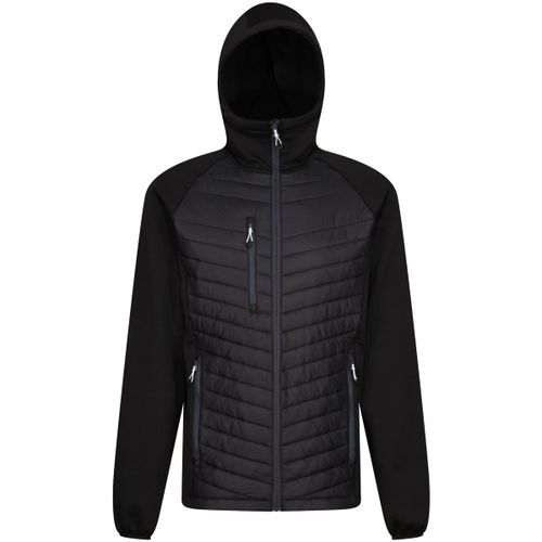 RG9341 men's Jacket in - Regatta - Modalova