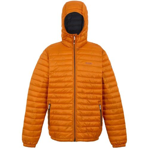 Hurden men's Jacket in - Regatta - Modalova