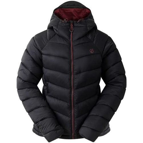 Torrek women's Jacket in - Dare 2b - Modalova