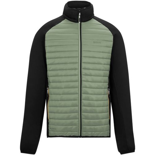Clumber men's Jacket in - Regatta - Modalova