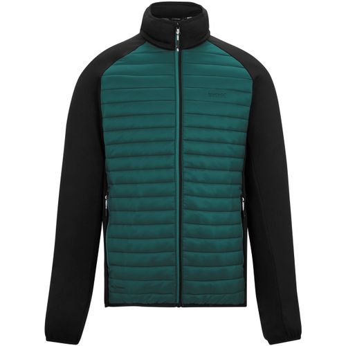 Clumber men's Jacket in - Regatta - Modalova