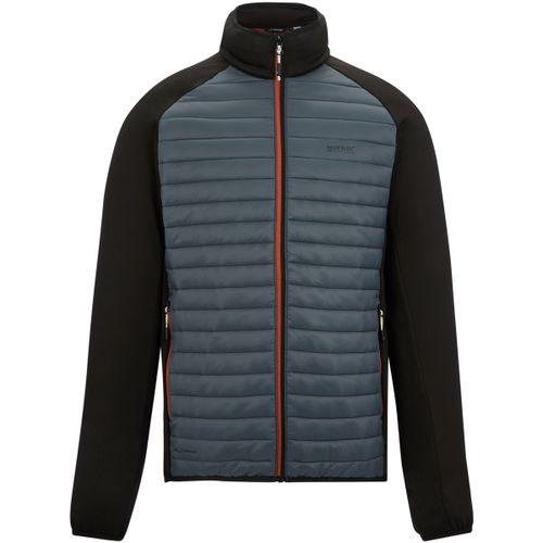 Clumber men's Jacket in - Regatta - Modalova