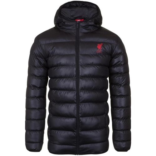 GF334 men's Jacket in - Liverpool Fc - Modalova