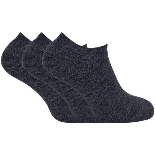 Men's Stockings in - Sock Snob - Modalova