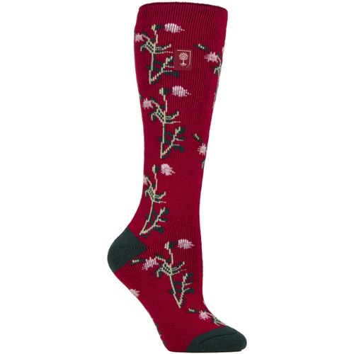 Women's Socks in - Heat Holders - Modalova