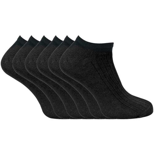 Women's Socks in - Sock Snob - Modalova