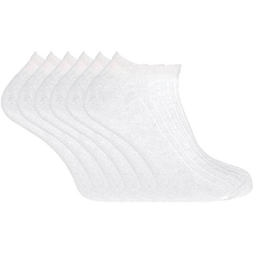 Women's Socks in - Sock Snob - Modalova