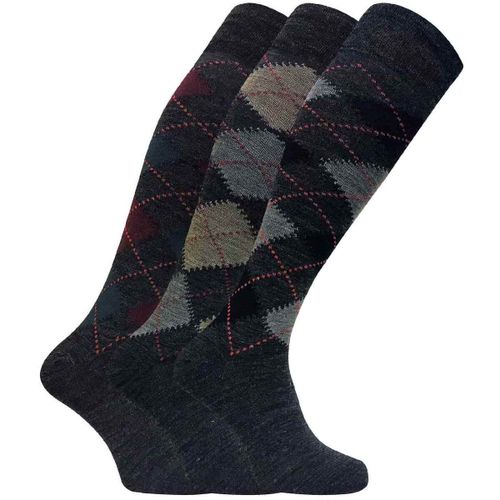Men's Stockings in - Sock Snob - Modalova
