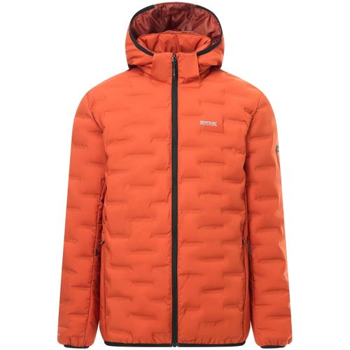 Astrel men's Jacket in - Regatta - Modalova