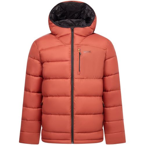 Munaro men's Jacket in - Regatta - Modalova